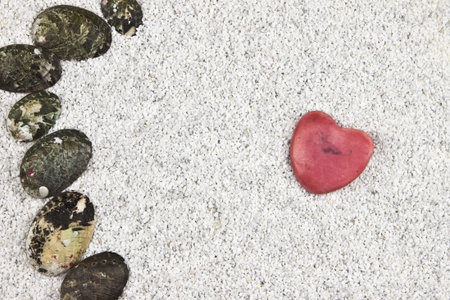 several black and grey shells in white sand with a heartの写真素材