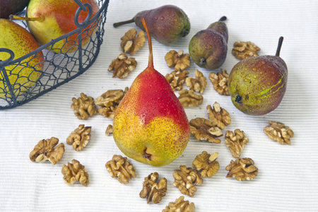 pears different from the garden with walnutsの写真素材