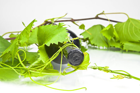 A bottle of red wine with leaves and tendrilsの写真素材