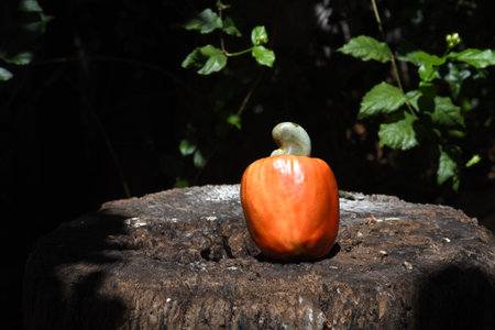 Cashew nuts isolated with glass of fruit juice on white background.の写真素材