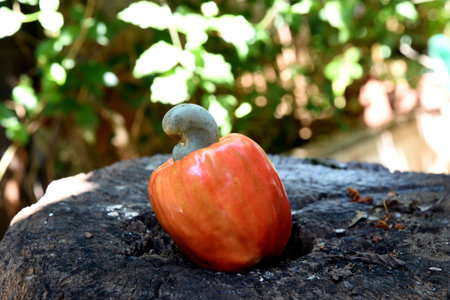 Cashew nuts isolated with glass of fruit juice on white background.の写真素材