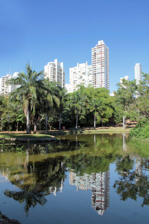 park with lake and coconut treesの写真素材