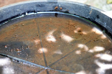 abandoned cup in a vase with stagnant water inside. close view. mosquitoes in potential breeding...
