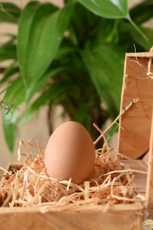 natural chicken egg on the wooden table, rustic free-range chicken natural farm food