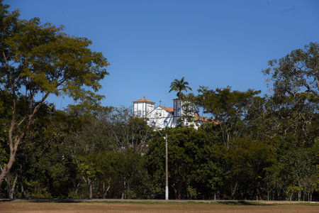 PirenÃ³polis Brazil baru harvesting baru nut manufacturing and preparation rural family workのeditorial素材