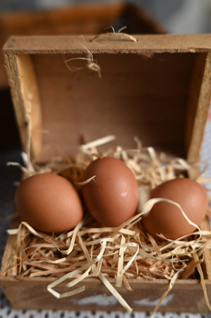 natural chicken egg on wooden table, rustic free range chicken natural farm food yolk and white of bird animal imageの写真素材