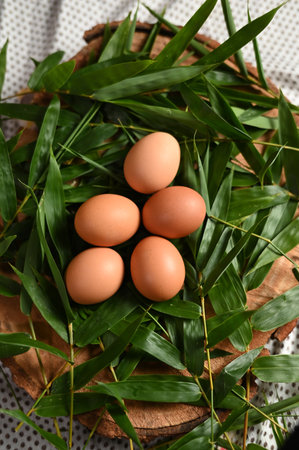 natural chicken egg on wooden table, rustic free range chicken natural farm food yolk and white of bird animal imageの写真素材