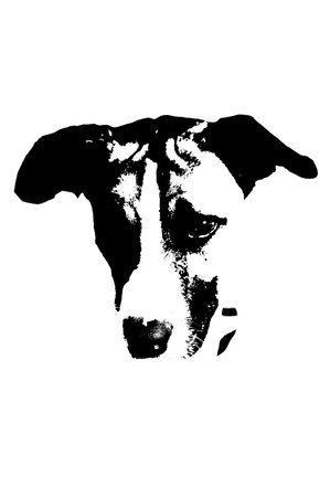 vector cute dog with white and black spots fur silhouette on white transparent background imageの写真素材