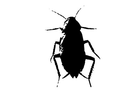 cockroach silhouette black and white vector image Insect portrait, beauty, body line art. For use as...