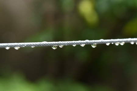 macro photography water drops on wire dew raindrop in nature on blurred background.の写真素材