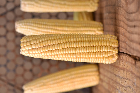 corn natural food healthy delicious vegan cooked green corn on wooden table tasteの写真素材