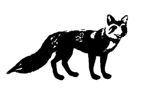 black and white vector image of fox silhouette Wild animal portrait, beauty, body line art. For use as a brochure template or for use in web design imageの写真素材