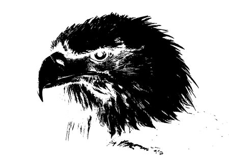 black and white vector image of silhouette Wild animal portrait, beauty, body line art. For use as a brochure template or for use in a web design imageの写真素材