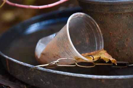 Abandoned bowl vessel with stagnant water inside. close up view. mosquitoes in potential breeding...