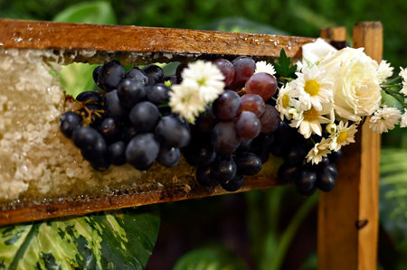 healthy tropical food fresh fruit natural cheese bread natural honey party snackの写真素材