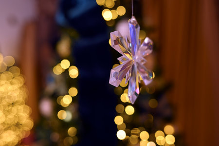 Christmas decoration Santa Claus flowers snow gift blurred area holiday gifts image arrangements...