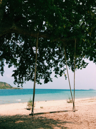 Swing on the shoreの素材