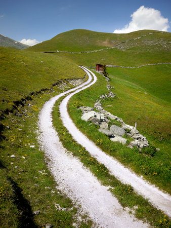 a rural road in the meadows of Lombardyの写真素材