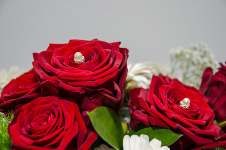 roses vor birthday and other eventsの写真素材
