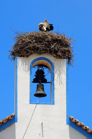   The stork and the bell                             の写真素材