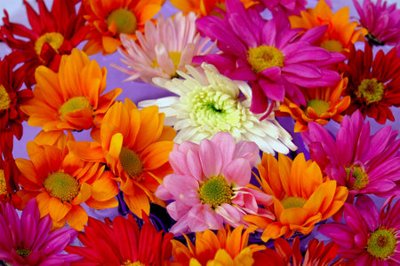     Flowers in the water                           の写真素材
