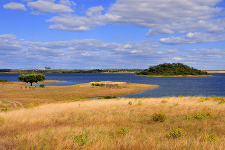 lake viewの写真素材