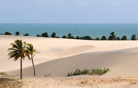 dunesの写真素材