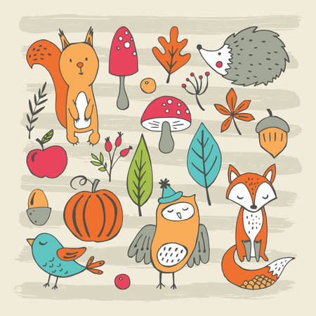 Hand drawing elements for autumn and fall designのイラスト素材
