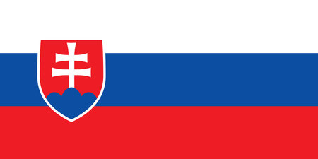 Slovakia National Flagのイラスト素材