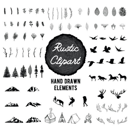 Rustic Nature Clipart - Vector hand drawn illustrations of the outdoors, plants and animals.のイラスト素材