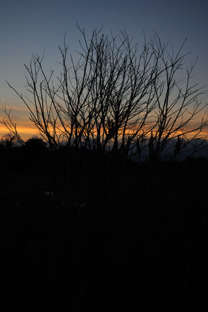 sunsetの写真素材