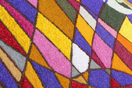 Petals and Colorの写真素材