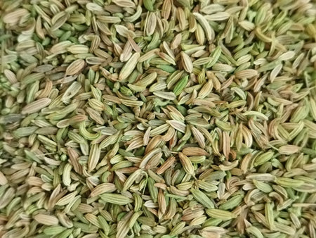 Ariel view of green fennel seeds. Commercial backgroundの写真素材