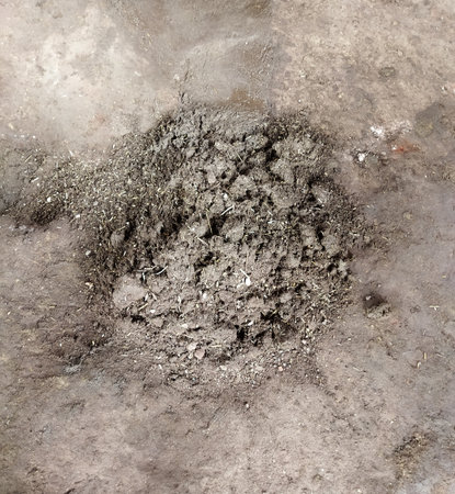 Pile of soil on the ground. Ground texture. Top view.の写真素材