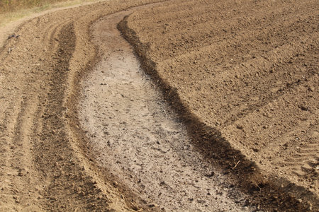 Close up of ploughed agriculture field of India for wheat crops. First steps to start wheat farmingの写真素材