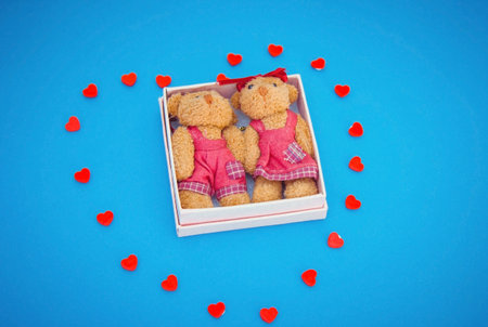 Two toy bears in small gift box on blue backgroundの写真素材