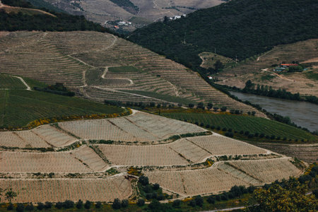 View from Pinhao village in Portugal to Douro valley and river, Portugalの写真素材