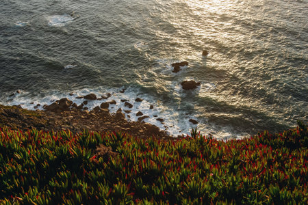 Panoramic view of the cliffs of Cabo da Roca at sunsetの写真素材
