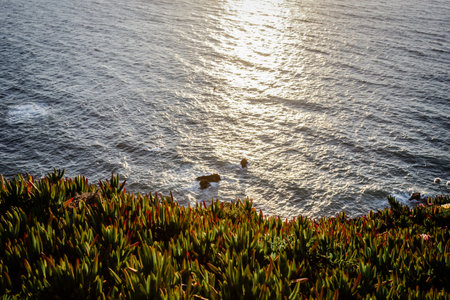 Panoramic view of the cliffs of Cabo da Roca at sunsetの写真素材
