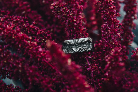Ape shape silver ring on pink flowersの写真素材