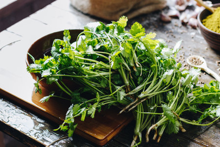 Fresh parsley and cilantro on wooden tableの写真素材