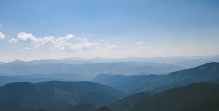Landscape with fir forest in The Carpathians, Ukraineの写真素材