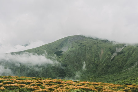 Foggy landscape in The Carpathians, Ukraineの写真素材