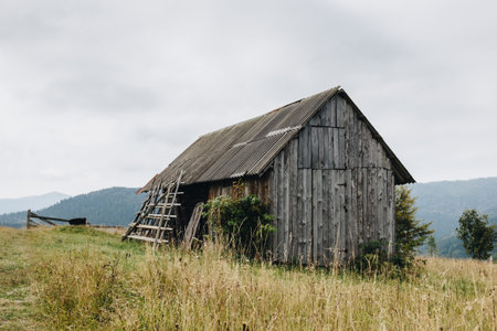 Picturesque mountain landscape with old wooden house in the Carpathiansの写真素材