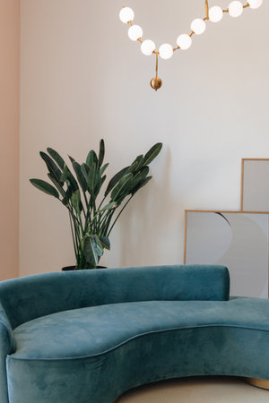 Blue velvet couch in the modern roomの写真素材