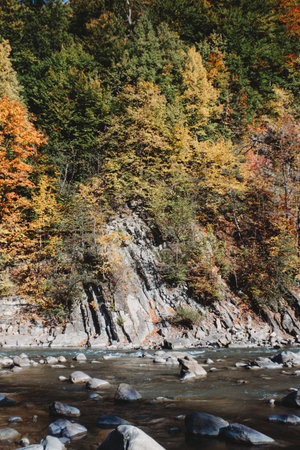 Picturesque autumn river and rock in The Carpathians, Ukraineの写真素材