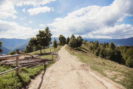 Picturesque landscape with path in The Carpathians, Ukraineの写真素材