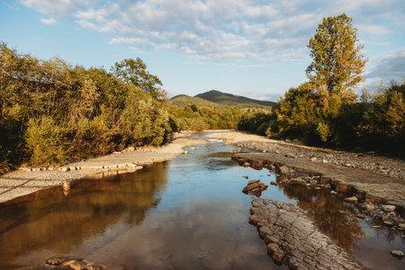 Mountain river flowing through the trees in sunny dayの写真素材