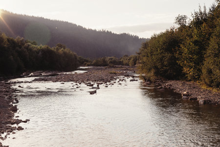 Mountain river flowing through the trees
