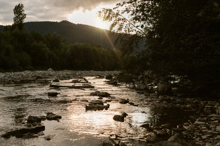 Mountain river flowing through the treesの写真素材